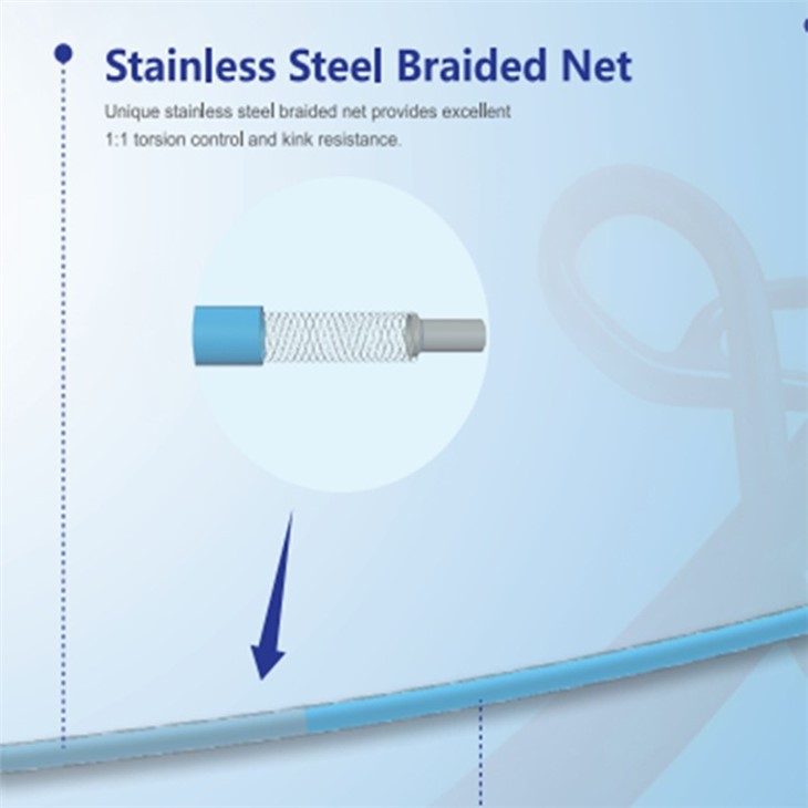 Endovascular Diagnostic Catheter